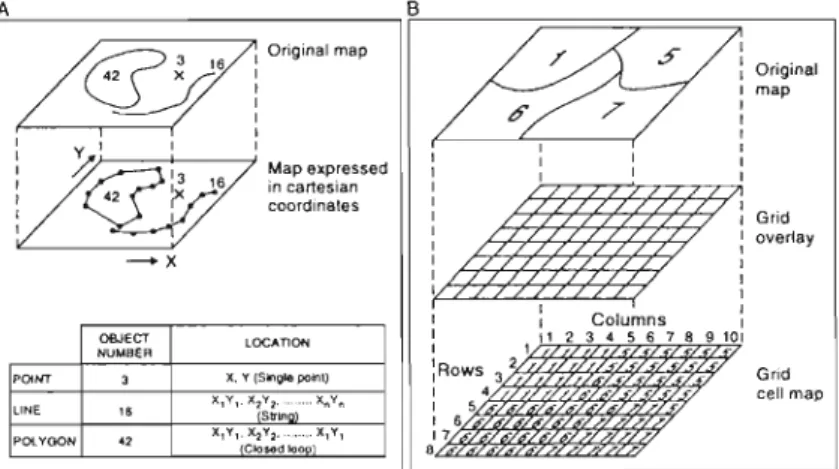 Fig. 2.6. A. Representación del límite de un objeto areal en el modelo vectorial. B. Mismo  objeto en el modelo raster