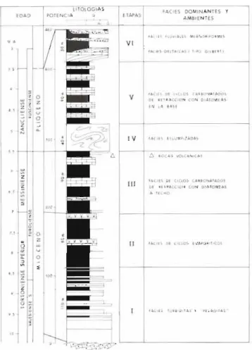Fig. 3.1. Columna general integrando los rasgos estratigráficos comunes más relevantes para el  conjunto de las cuencas estudiadas en este trabajo