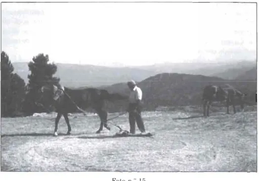 Foto nY 15 