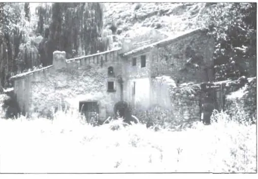 Foto nY 24 
