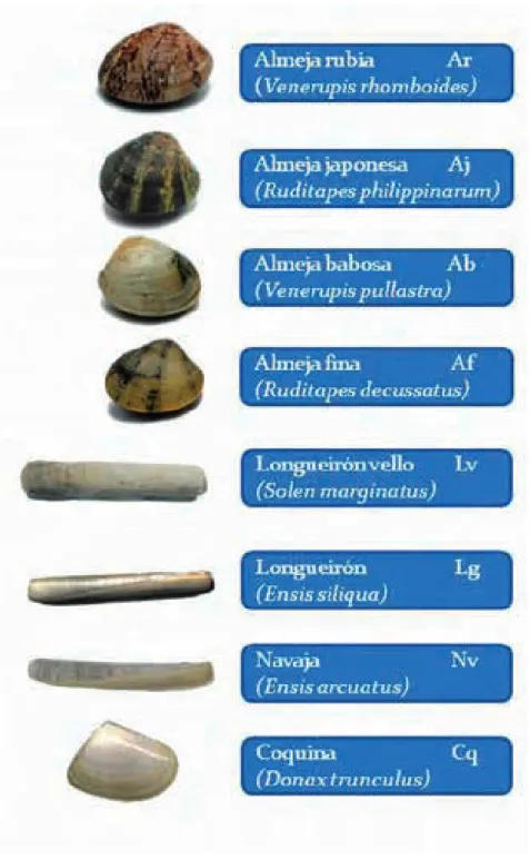 Figura 1.- Especies que se cultivan en el centro.