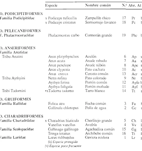 CUADRO  7  Abr.: Abreviatura. 
