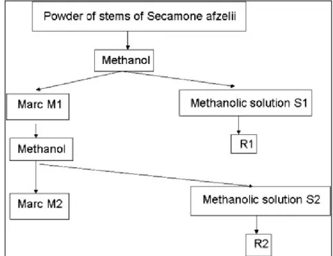 Figure 1: summary of the method of extraction maceration rods Seamone afzelii