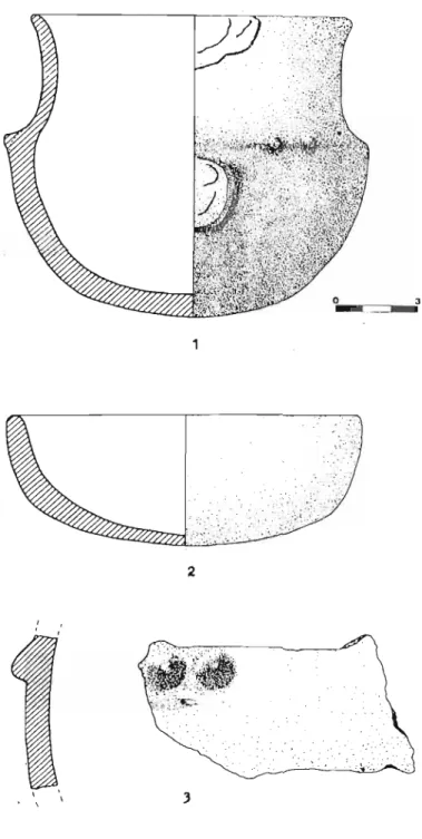 Figura 5: Cerro El Púlpito. 