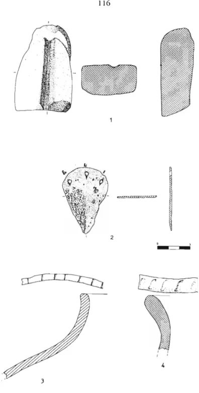 Figura 6: Cerro El Púlpito. 
