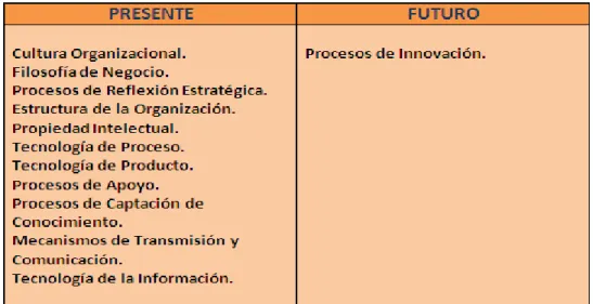 Figura  11. Elementos de capital relacional del modelo Intelect 