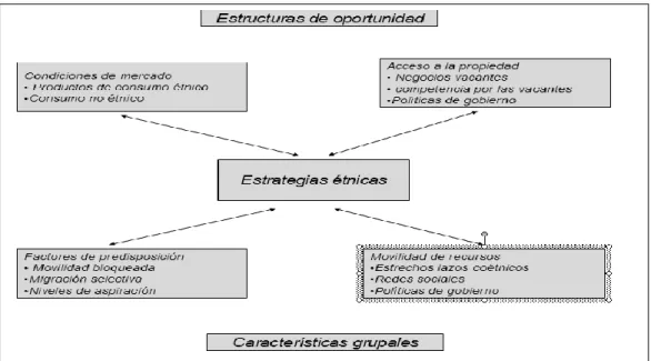 Cuadro  1.1 Modelo de Desarrollo de Empresas Étnicas  