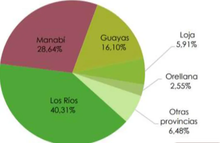 Figura 2. Participación en la superficie sembrada total 
