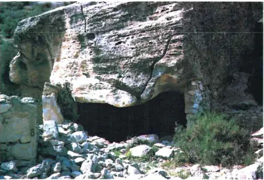 Foto 2.  Casa E, grupo 2 o rupestre. 
