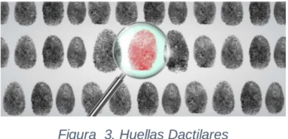 Figura  3. Huellas Dactilares 