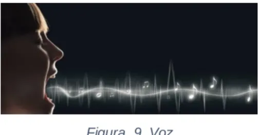 Figura  9. Voz 