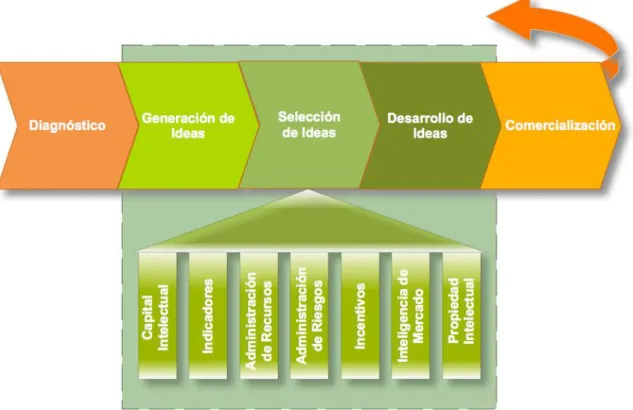 Figura 11: Cadena de valor de la innovación 