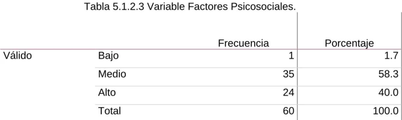 Gráfico 5.1.2.3 Variable Factores Psicosociales. 