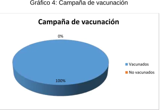 Gráfico 4: Campaña de vacunación 