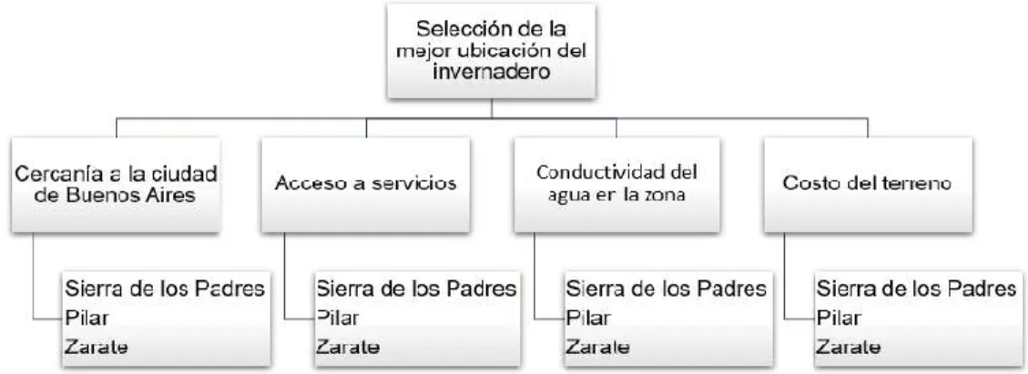 Figura 15: Jerarquización final. 