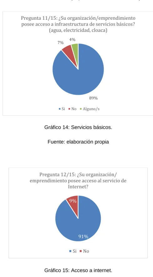 Gráfico 15: Acceso a internet. 