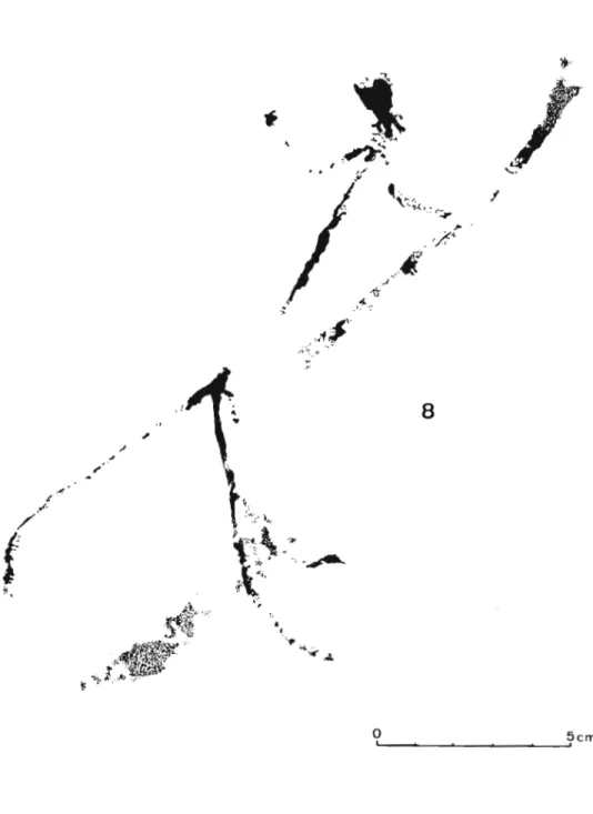 Figura 5: Arquero, 8, de Cañadas 11. 
