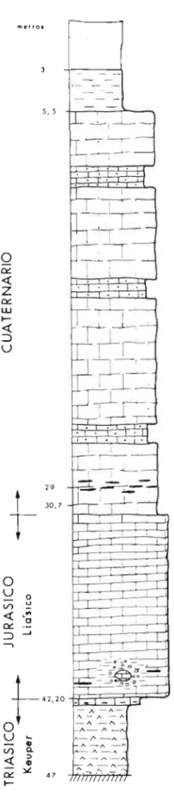 Fig. 5.16. Columna tipo. 