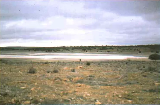 Foto 2: Laguna Blanca. 