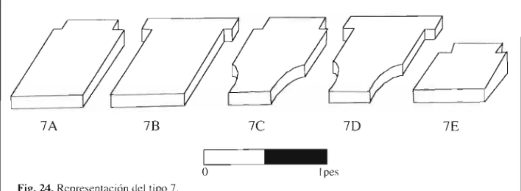 Fig. 24. Representación  del tipo 7. 