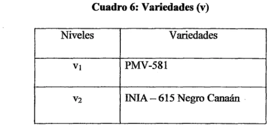 Cuadro 6: Variedades (v) 