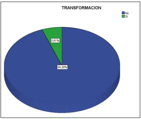 Figura 12  Transformación 