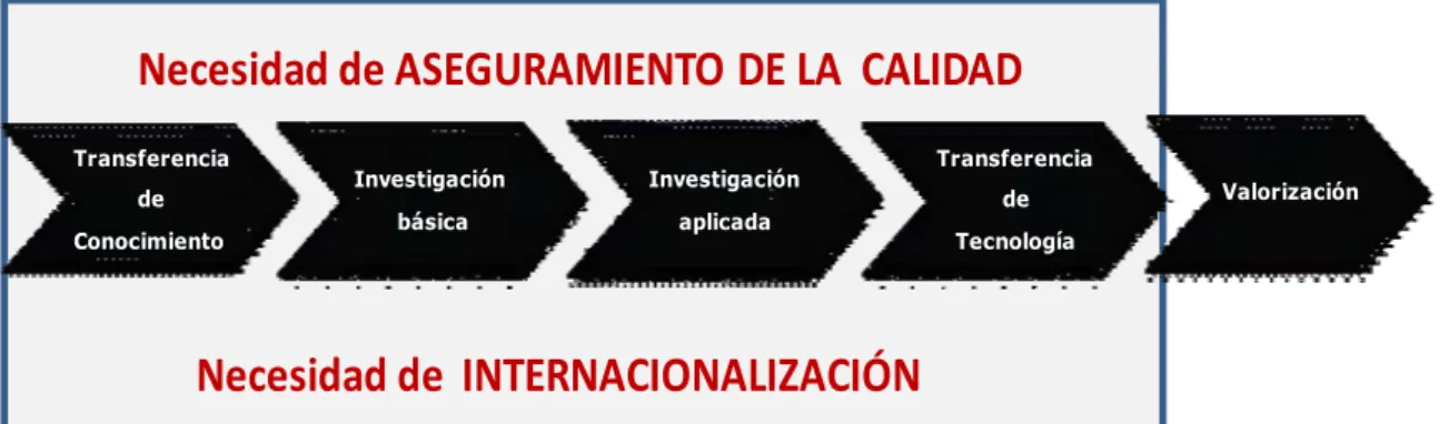 Gráfico 8 Proceso de las funciones dentro de la Universidad 