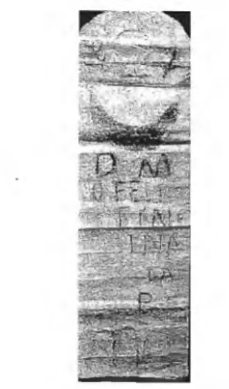 Fig.  5.  Calco retintado con carboncillo. 