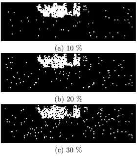 Figure 4.11: Example of noisy segmentations used in our experiments to show the robust- robust-ness of our egomotion algorithms.