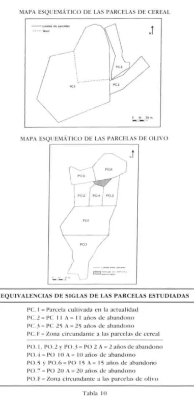 MAPA ESQUEMÁTICO DE LAS PARCELAS DE CEREAL 