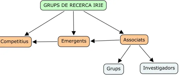 Figura 6. Grups de Recerca 