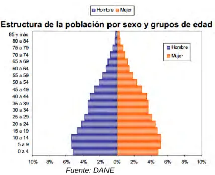 Figura 7. Estructura de la población 