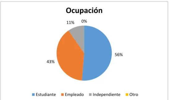 Figura 12. Ocupación 