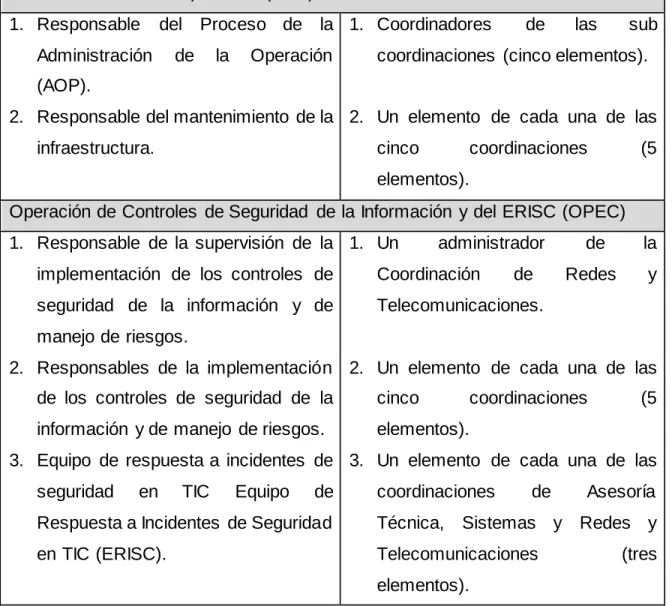 Cuadro 6. Propuesta  de roles para  el MAAGTICSI. 