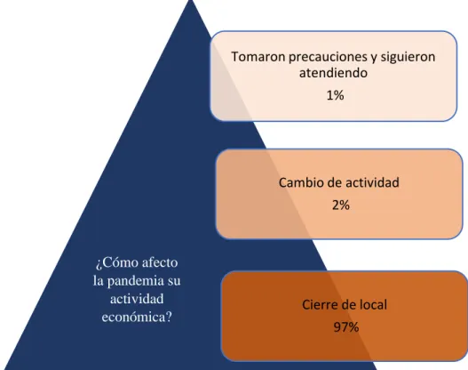 Figura 13. Impacto de la pandemia.  