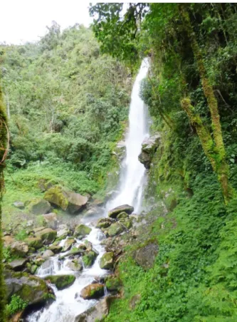 Figura 6 Visualización de la Cascada de Oso. 