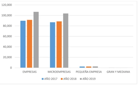 Figura 4. Segmento empresarial del Cusco 2017, 2018 y 2019 