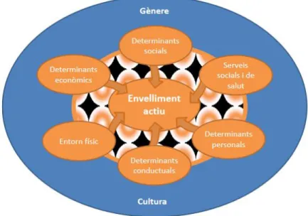 Figura 7: Determinants de l’envelliment actiu (4). 