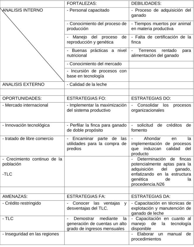 Cuadro 20. Análisis dofa 