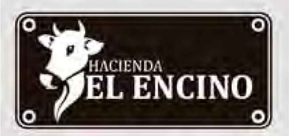 Figura 2. Logo 
