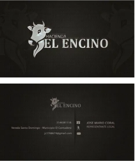 Figura 3. Tarjetas de presentacion  