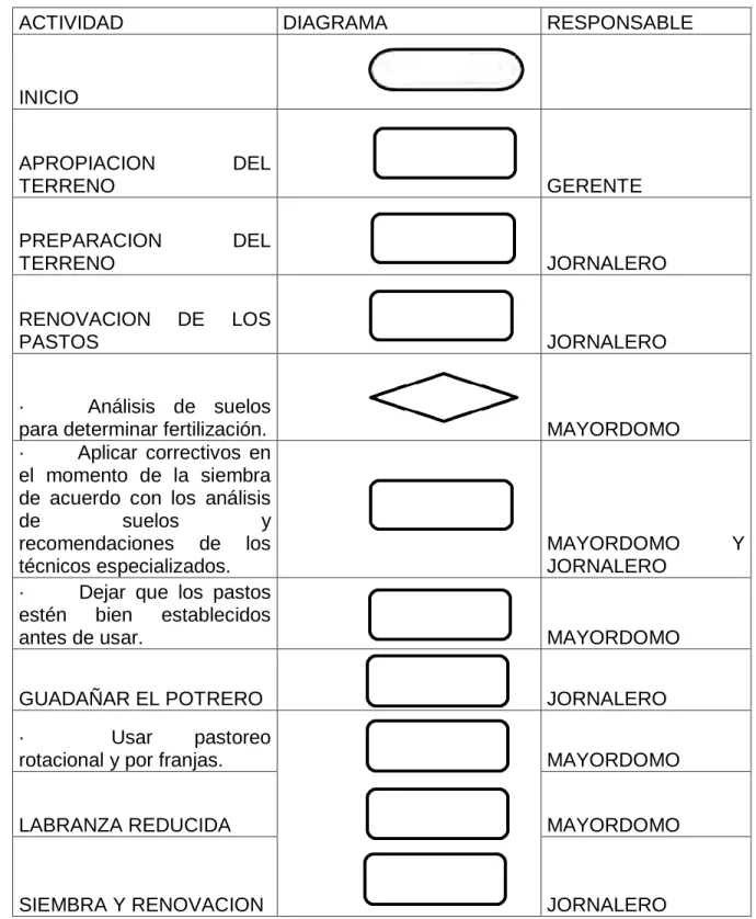 Cuadro 12. Proceso de produccion 