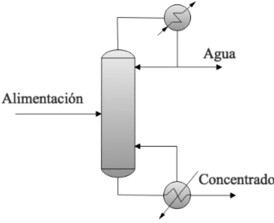 Figura 4.4.2: Columna preconcentradora.