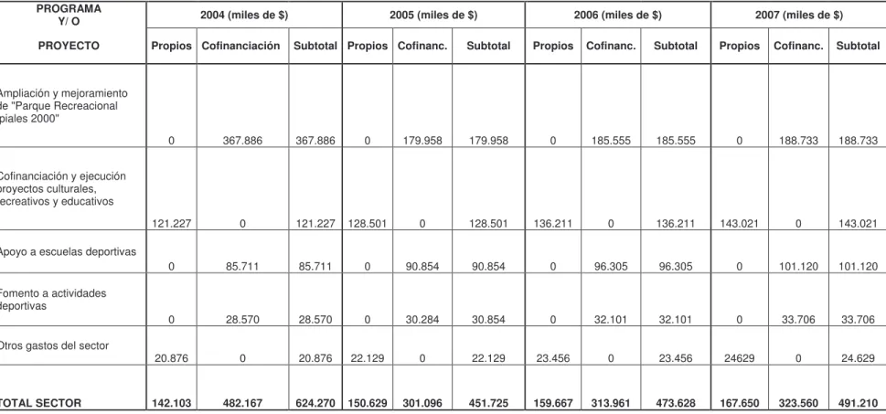 CUADRO 6.  PLAN PLURIANUAL DE INVERSIONES 2004-2007. 