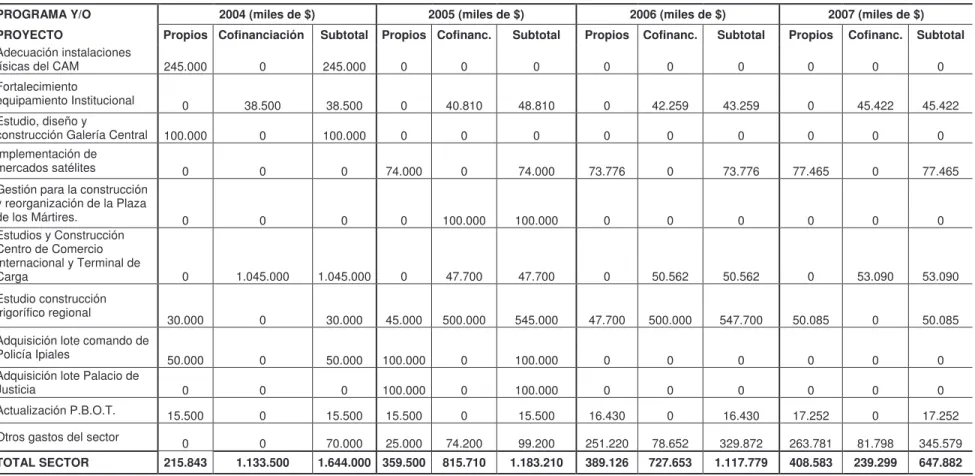 CUADRO 8.  PLAN PLURIANUAL DE INVERSIONES 2004-2007. 