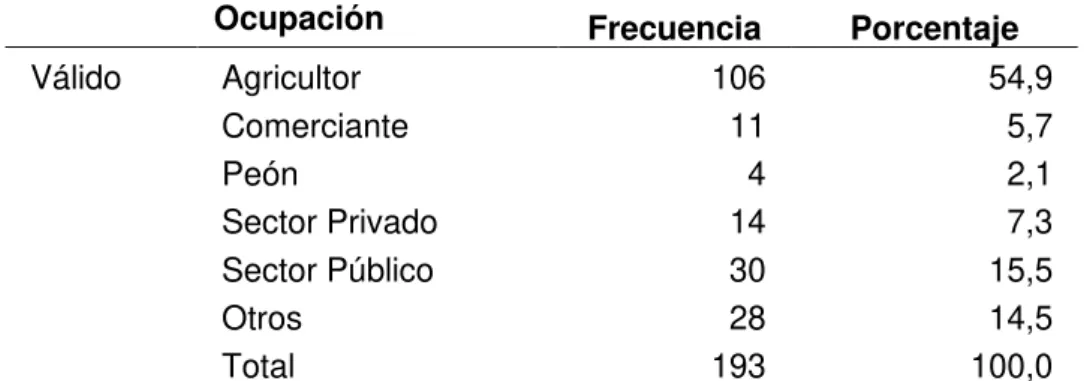 Figura 4  Ocupación de la población de San Cristóbal
