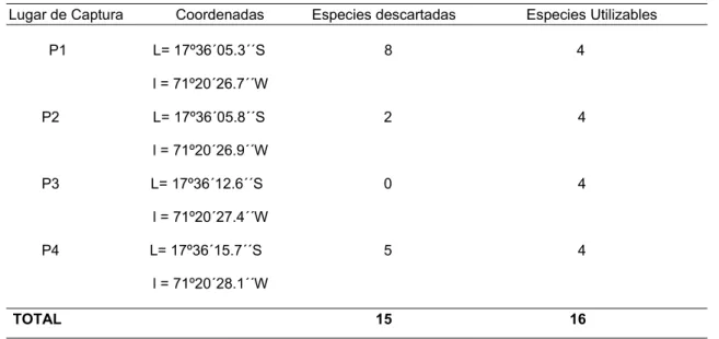 Figura Nº 9 