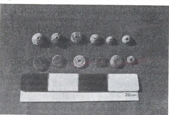 Figura 6 a:  Torteros del sector La Solana.