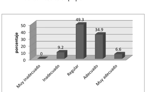 Figura 9: Actividades de supervisión 