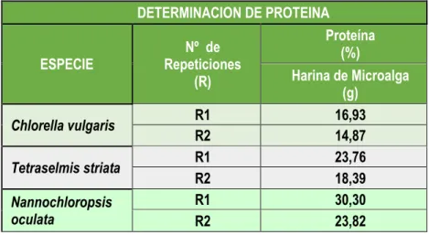 Cuadro 17.  Contenido de proteínas de la Harina de microalgas